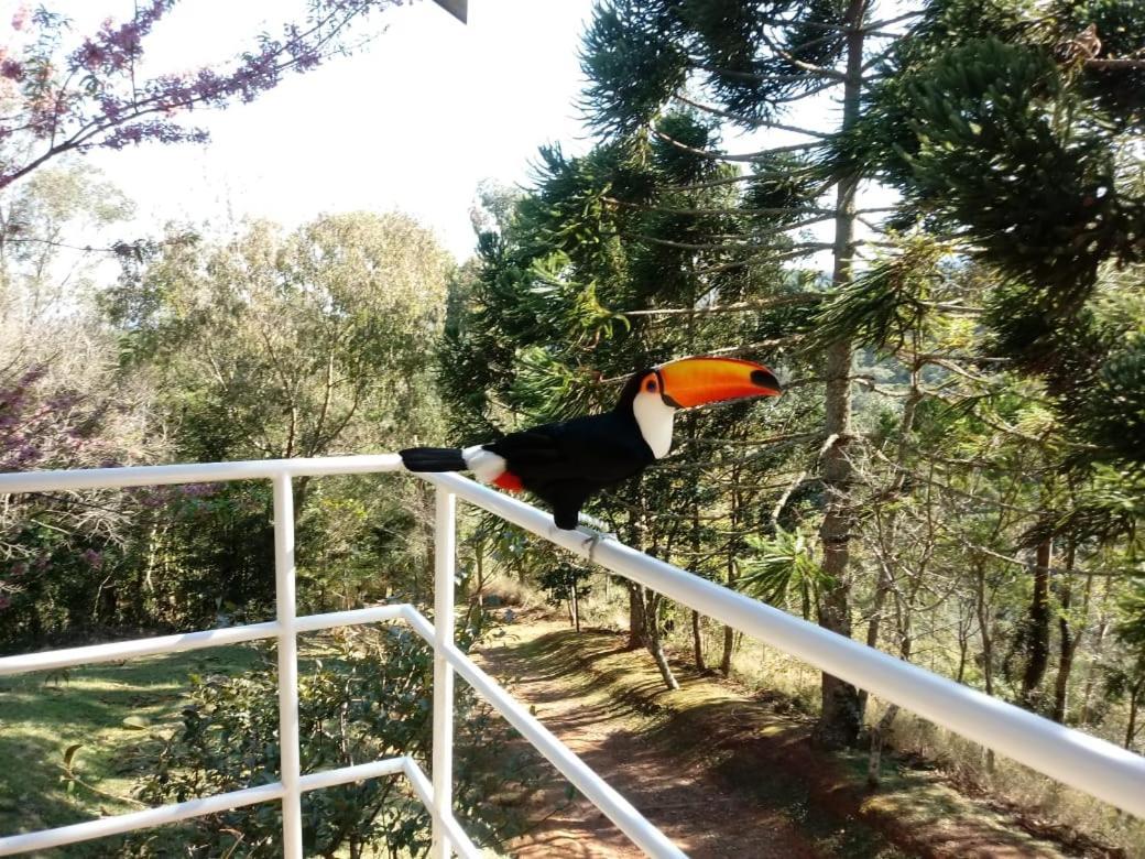 Abrigo Da Reserva Hotel Santo Antônio do Pinhal Kültér fotó