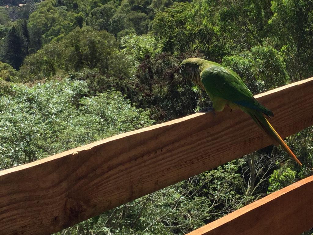 Abrigo Da Reserva Hotel Santo Antônio do Pinhal Kültér fotó