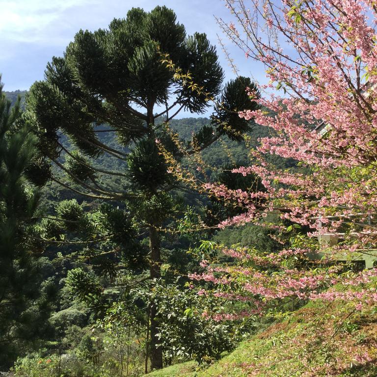 Abrigo Da Reserva Hotel Santo Antônio do Pinhal Kültér fotó